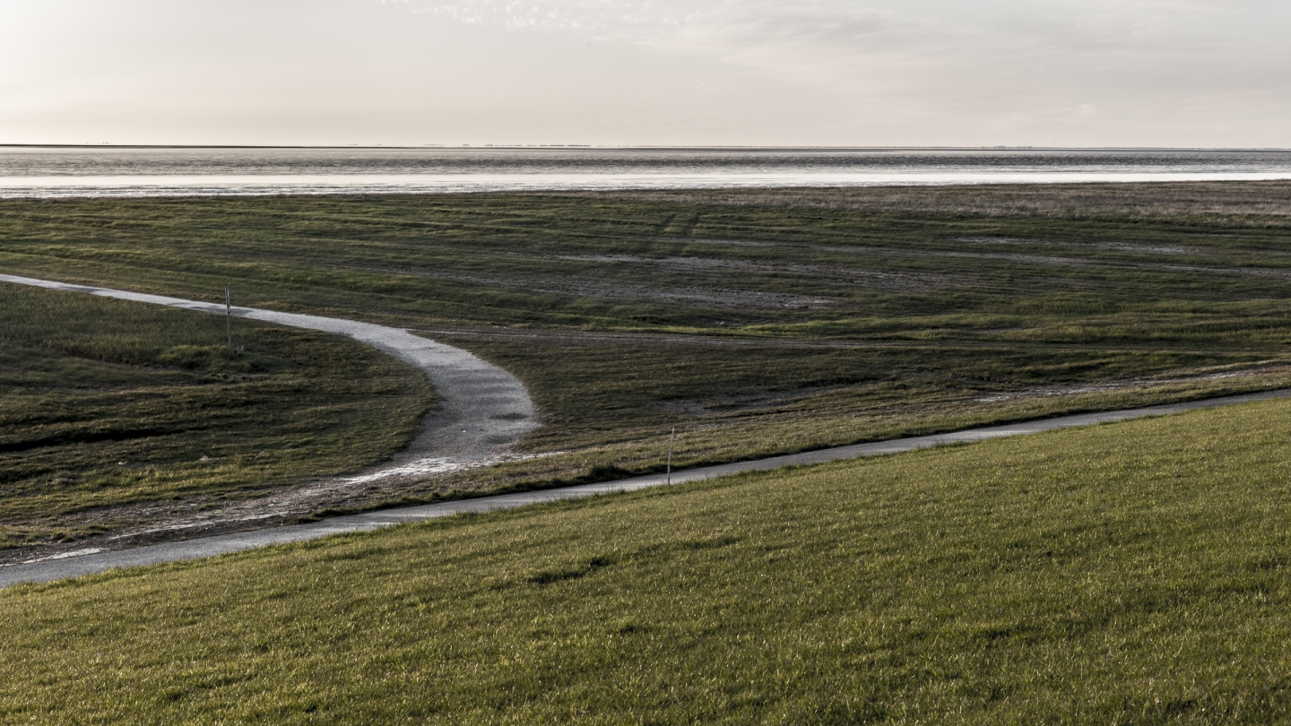 Salzwiesen hinter dem Deich, Krummhörn, Nordsee, 2020